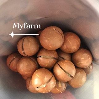 Combo 4kg macca myfarm sấy chín nứt vỏ kèm khui