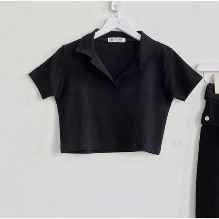Áo Croptop nữ tay ngắn, cổ trơn Hàng cao cấp ôm dáng Ulzzang (siêu xinh) 20beautyplus