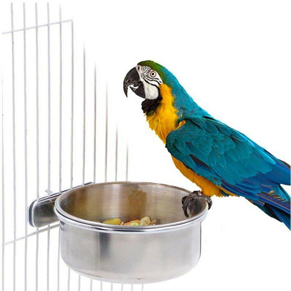 Cốc Đựng Thức Ăn Bằng Thép Không Gỉ Cho Chim Vẹt