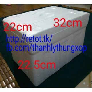 Thùng xốp cỡ nhỏ 9L đông lạnh giữ nhiệt đóng hải sản hoa quả