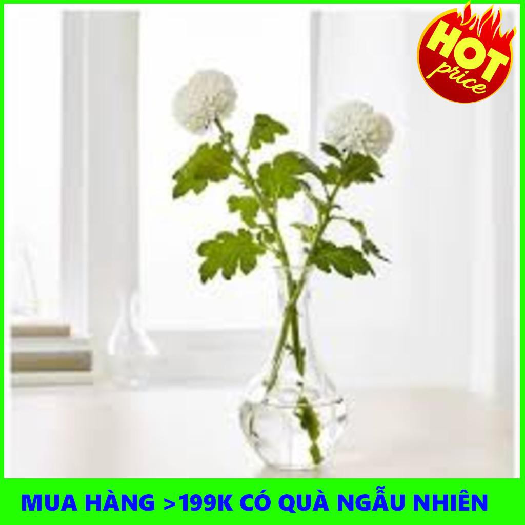 Lọ hoa VILJESTARK Ikea | TẠI HÀ NỘI