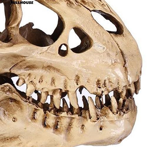 Mô Hình Bộ Xương Người Khủng Long Bằng Nhựa Dùng Để Trang Trí Nội Thất