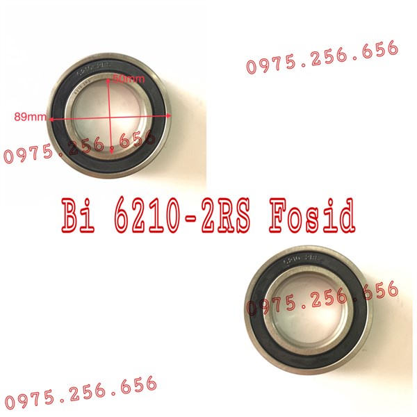 Bi 6210-2RS Fosid