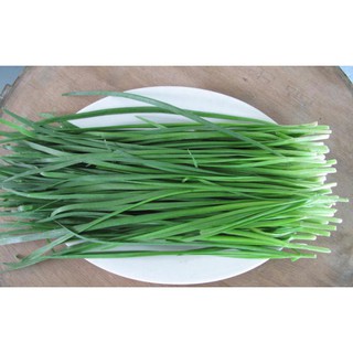 Gói 1g hạt giống lá hẹ tây