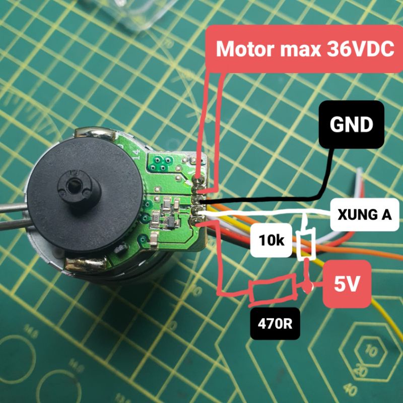 Động cơ DC Encoder 64 xung Servo Motor RS - 455PW - 21100