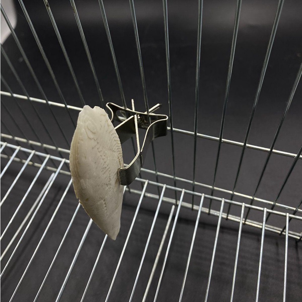 Dụng Cụ Kẹp Thức Ăn Bằng Thép Không Gỉ Tiện Dụng Cho Chim Cảnh