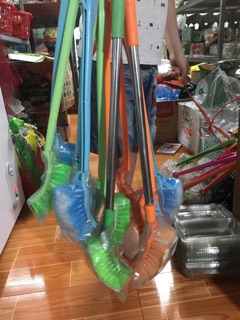 Cây cọ bồn cầu