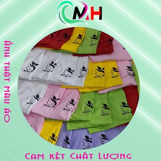 Combo áo gia đình