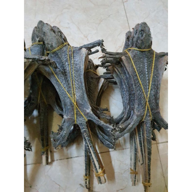 Tắc kè khô/1 con to | BigBuy360 - bigbuy360.vn