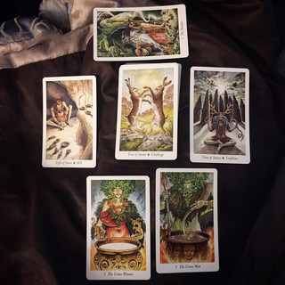 Bài The Wildwood Tarot
