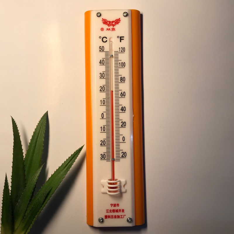 Nhiệt kế treo tường Đo nhiệt độ phòng, chuồng nuôi treo tường