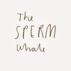 Vick Fashion Accessories