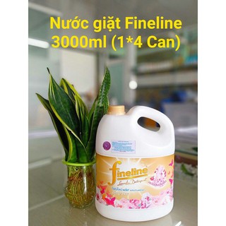 (HCM) Nước giặt Fineline 3000ml Thái Lan