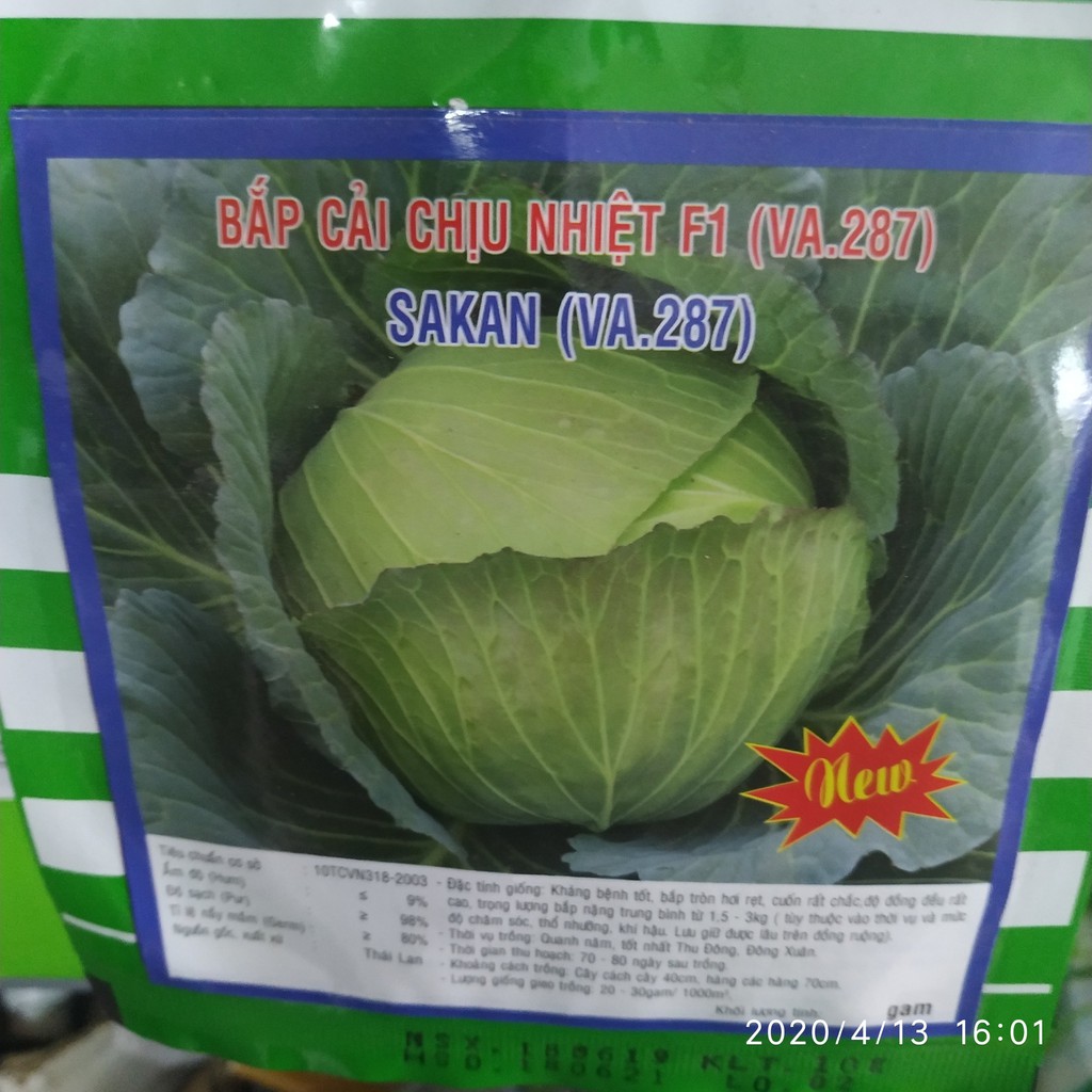 Hạt giống bắp cải chịu nhiệt F1 10g