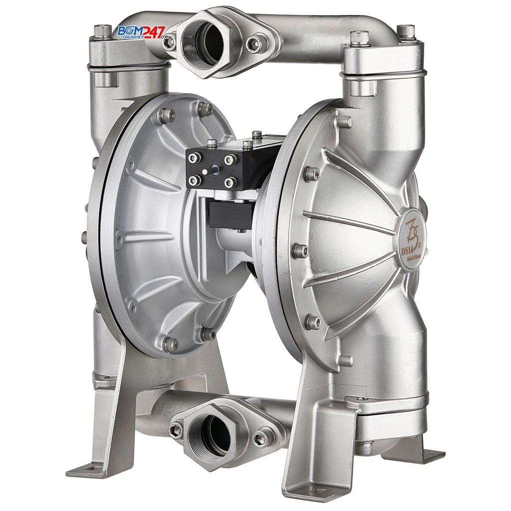 Bơm màng giá rẻ DS10-SAT-OATS-02 Đài Loan