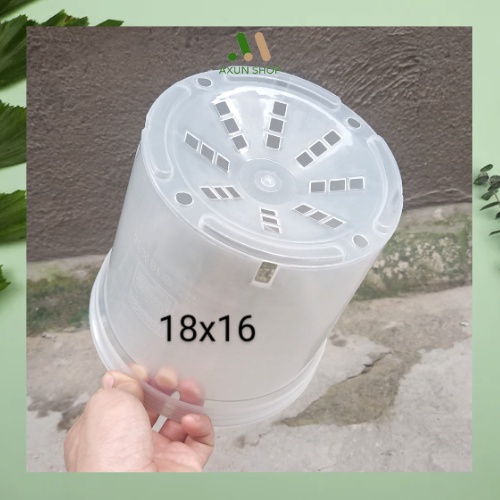 Chậu nhựa cứng tròn trắng trong suốt size lớn trồng cây kiểng lá 18x16 Thakico giá xưởng