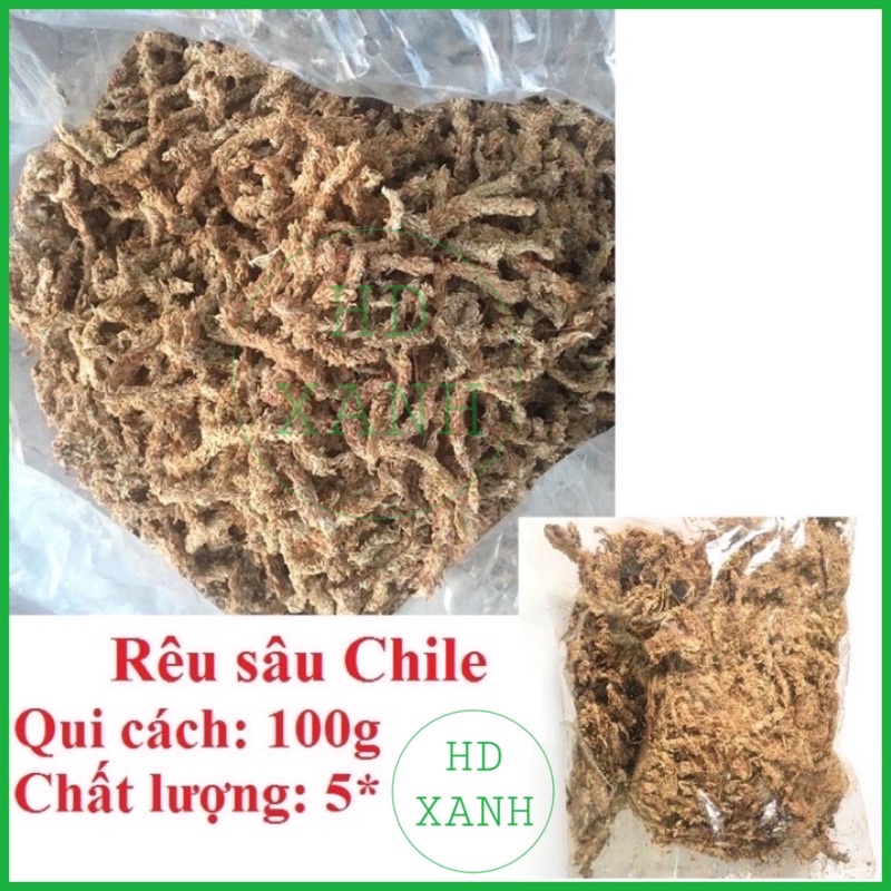 Rêu con sâu 5 SAO Giá thể giữ ẩm tuyệt vời cho phong lan 100g