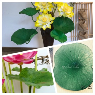 Gân hoa đất sét- gân lá sen đại