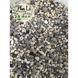 Giá thể sen mông/lithops