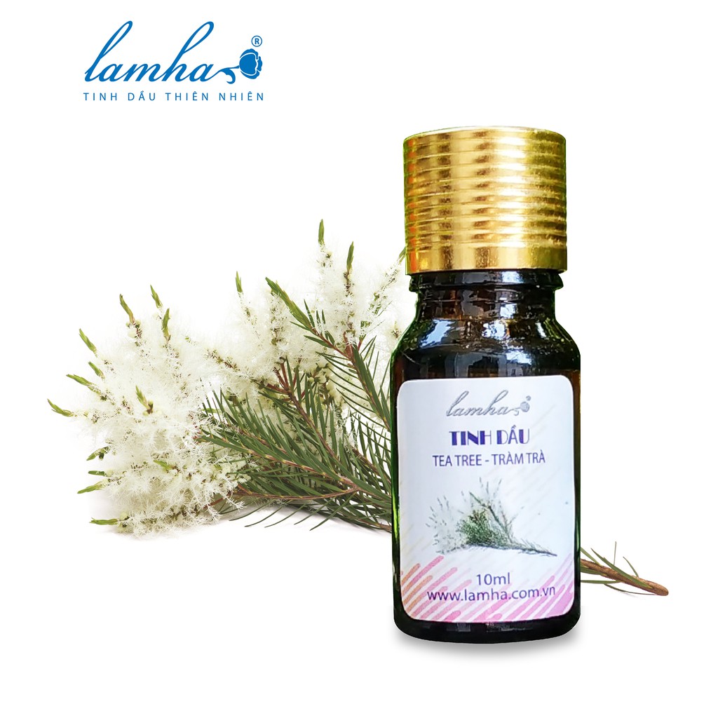 Tinh dầu Tràm Trà Úc LAMHA 10ml