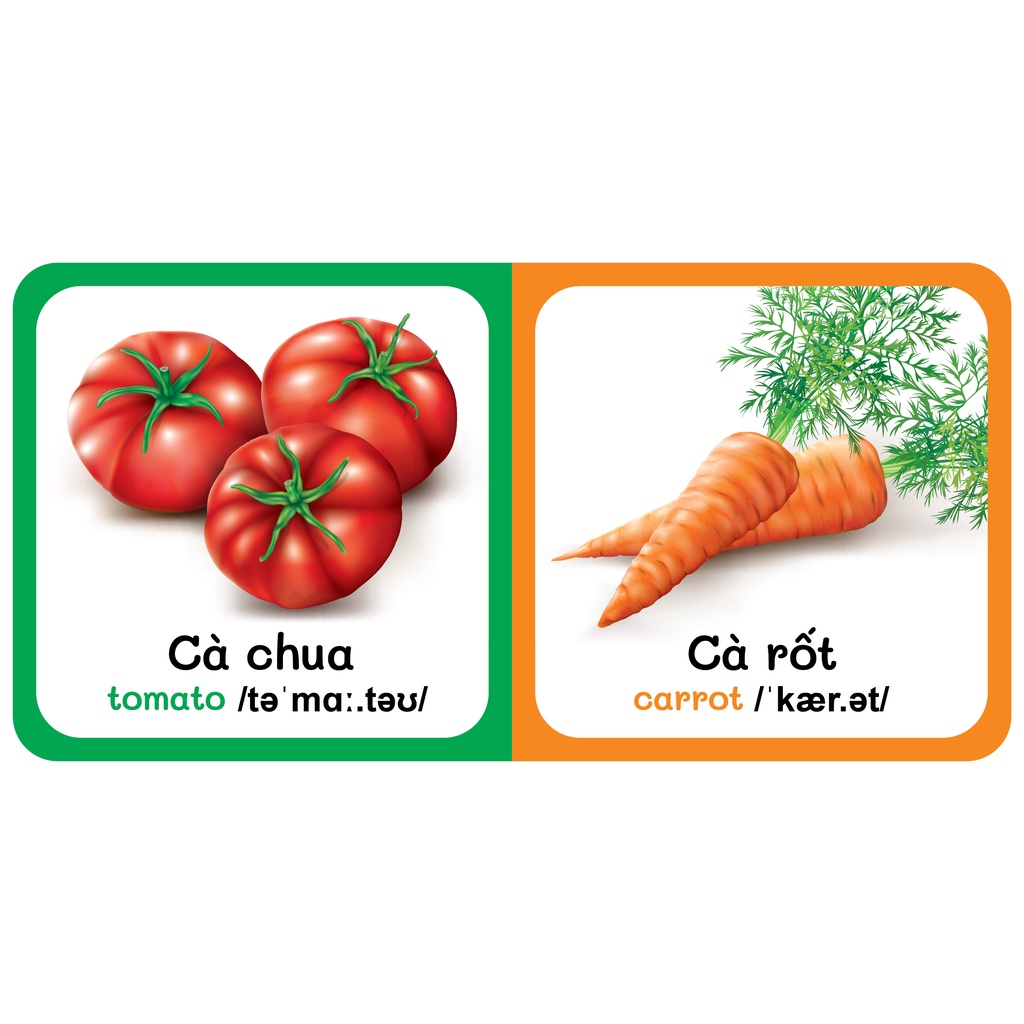 Sách - Baby'S First Picture Dictionary - Từ Điển Bằng Hình Đầu Tiên Của Bé - Rau Củ - Vegetable (Bìa Cứng) | BigBuy360 - bigbuy360.vn