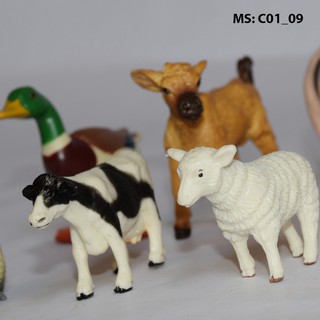 Bộ động vật nuôi