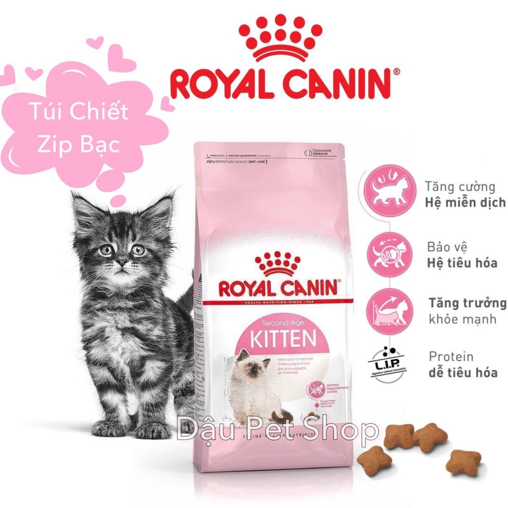 Royal Canin thức ăn hạt cho mèo