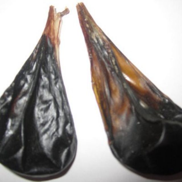 Sỉ toàn quốc mật kỳ đà