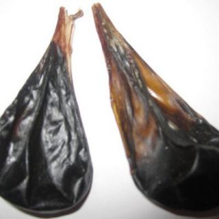 Sỉ toàn quốc mật kỳ đà