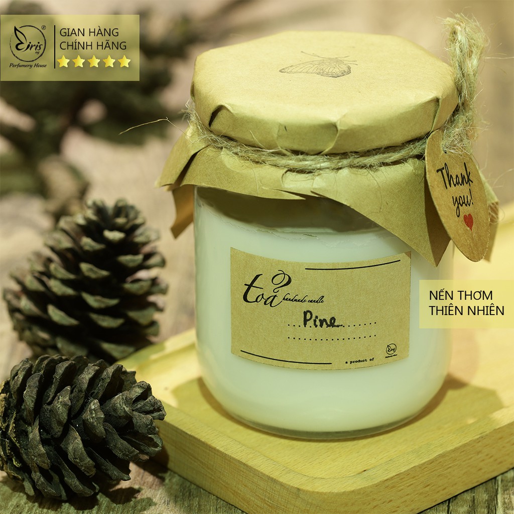 Nến đơn hương Gỗ Thông | Tỏa Handmade Candle