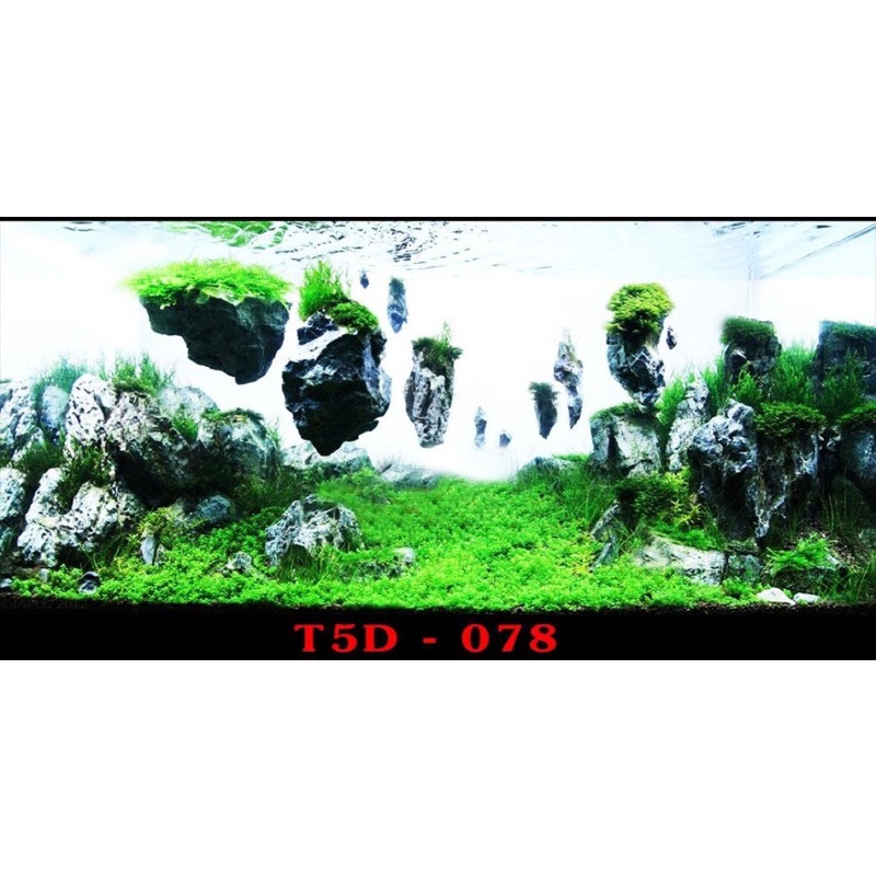 Tranh 3D trang trí hồ cá, bán cạn tiểu cảnh - chủ đề Đại dương xanh part 4