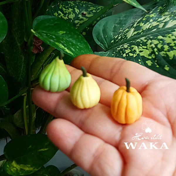 Mô hình 1 Trái Bí Đỏ Mini- Rau Củ Quả Mini 1/12