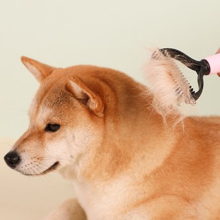 LƯỢC GỠ RỐI LÔNG THÚ CƯNG | PHỤ KIỆN THÚ CƯNG | Pets Store