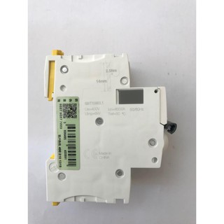 Aptomat schneider MCB 2P 10A~63A iC65N