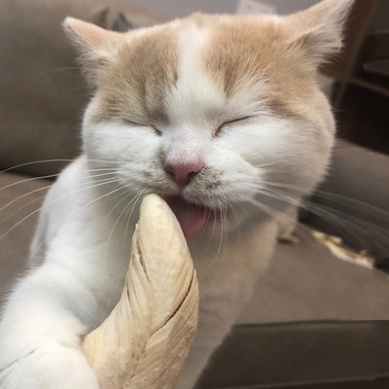 Ức Gà Nguyên Miếng Đông Khô Dinh Dưỡng Cho Chó Mèo - Xiuxiu Giang