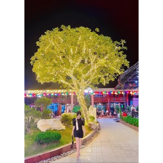 LED đúc F5, Led Hạt đế 9mm chống nước điện áp 12V,trang trí nhà,cuốn cây, sân vườn, trang trí ngoài trời