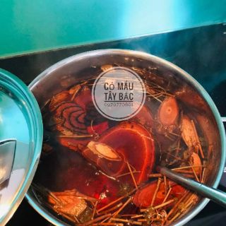 Cây cỏ máu Tây Bắc (1 KG)