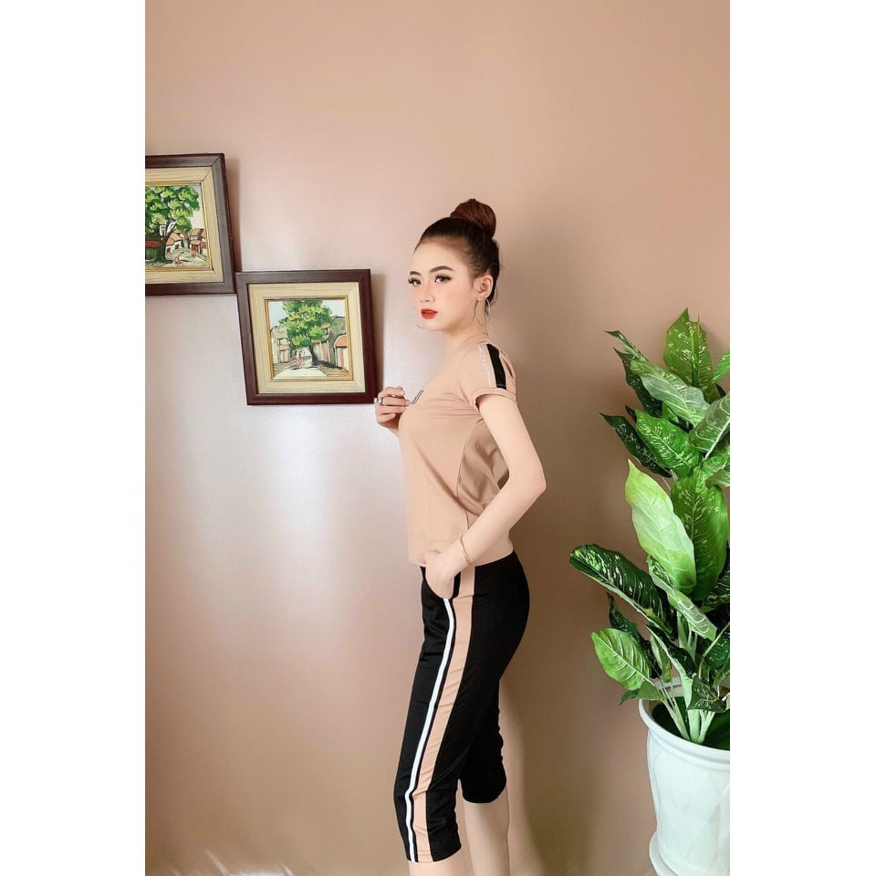 Bộ lửng umi