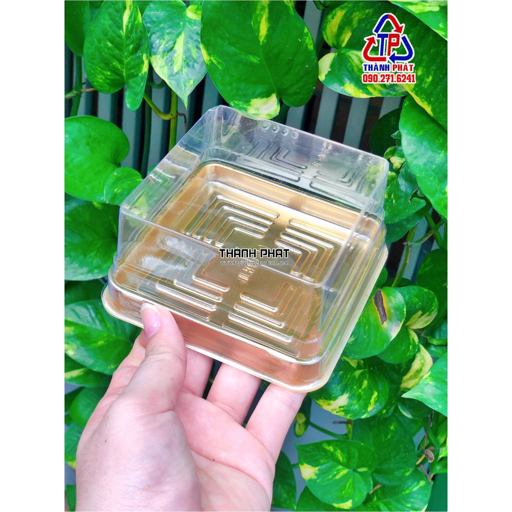 50 Hộp nhựa vuông XY10-10 đựng bánh trung thu 180g -200g- 250g