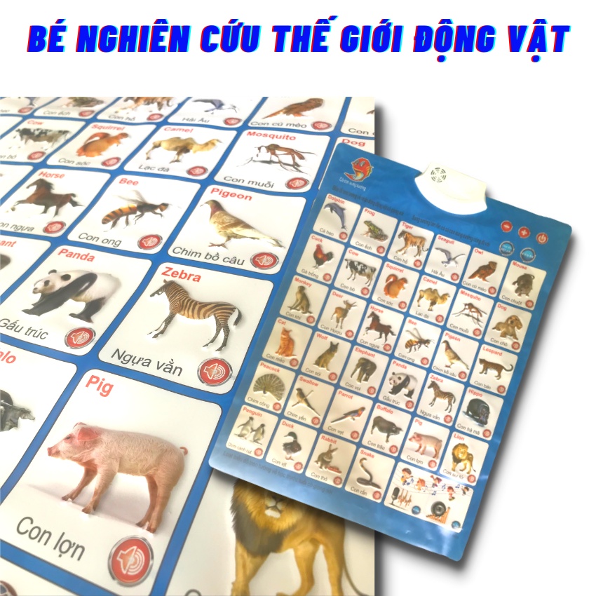 [Combo 4 Bộ+Tặng Pin]Bảng Chữ Cái Điện Tử Vàng, Thêm 3 Chủ Đề Thông Minh, Biết Nói, Bảng Học Chữ Tiếng Việt ZOLY SHOP