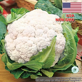 5GR 1200.HẠT Hạt Giống Bông Cải Trắng Tự Cuộn Lá SnowBall (| C10*W51)
