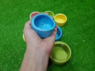 Chén sứ vòm trơn cho hamster, nhím kiểng
