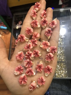 Hoa nhà e . Chụp hơi dìm tí