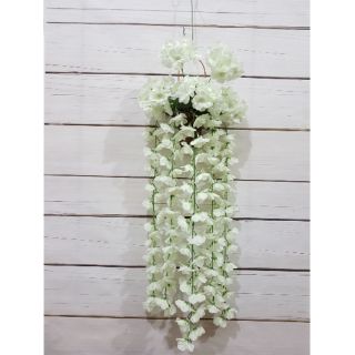 Giỏ hoa treo tường