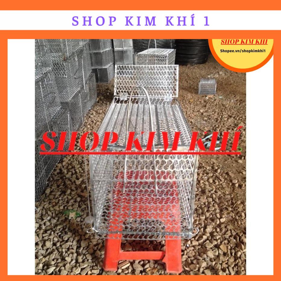 Bầy chuột lồng sắt