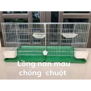 Lồng 4,2 có phụ kiện