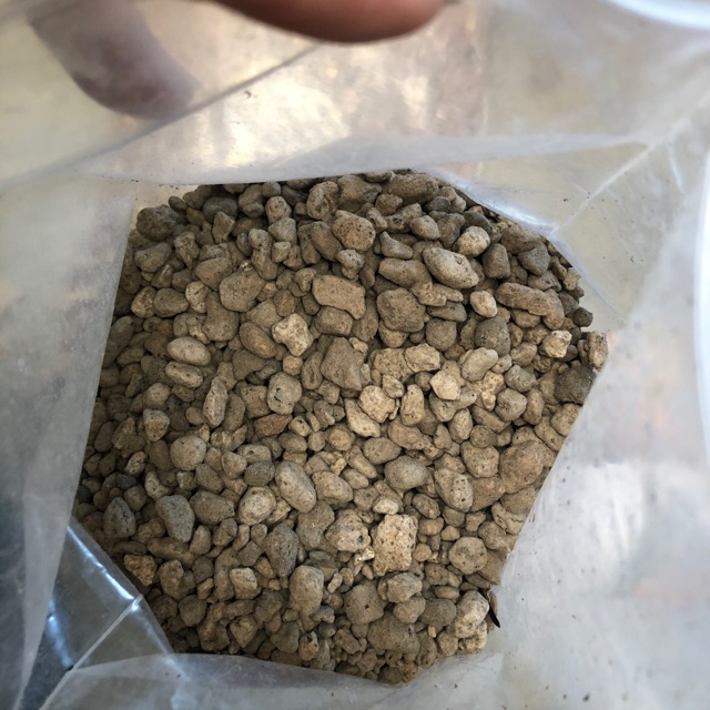 500gr đá PUMICE (sz nhỏ chuyên rải mặt)