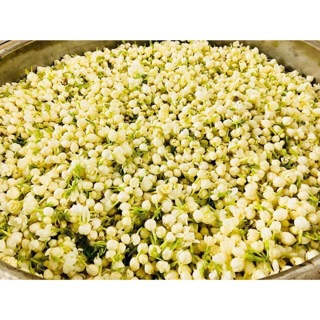 Nước cất hoa nhài Karose