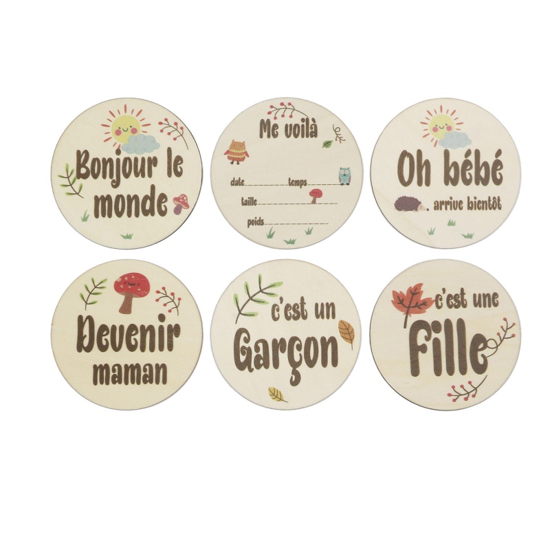 Set 6 Tấm Thẻ Gỗ Đánh Dấu Cột Mốc Phát Triển Theo Tháng In Họa Tiết Động Vật Hoạt Hình Cho Bé
