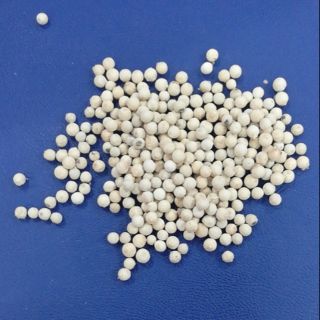 Tiêu sọ trắng xuất khẩu